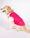 Alysh USA | DOGGY Dog Vest