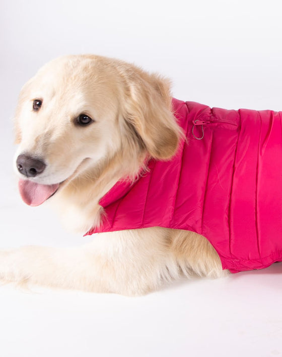 Alysh USA | DOGGY Dog Vest