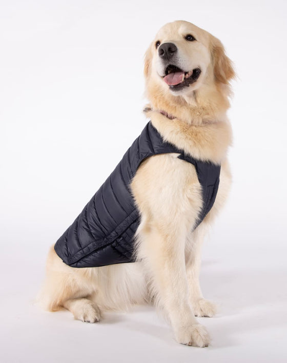 Alysh USA | DOGGY Dog Vest