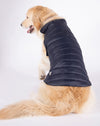 Alysh USA | DOGGY Dog Vest