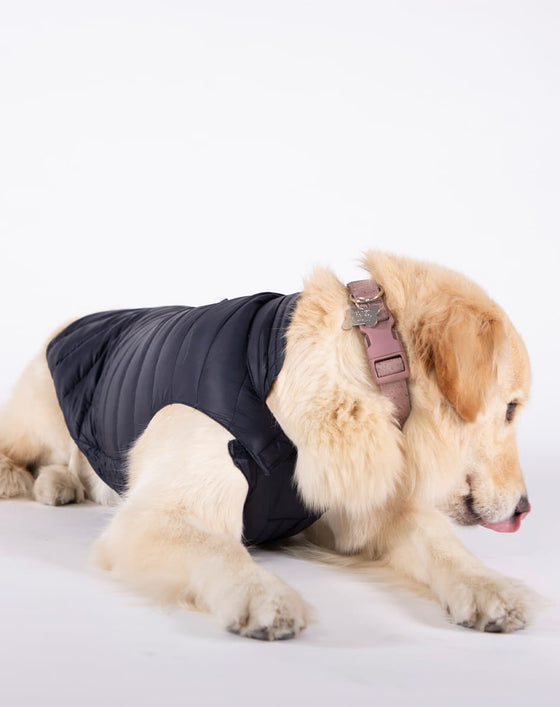 Alysh USA | DOGGY Dog Vest