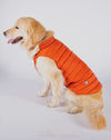 Alysh USA | DOGGY Dog Vest