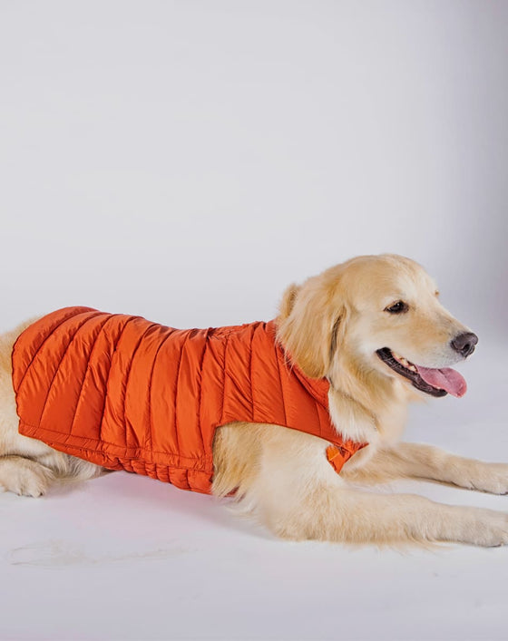 Alysh USA | DOGGY Dog Vest