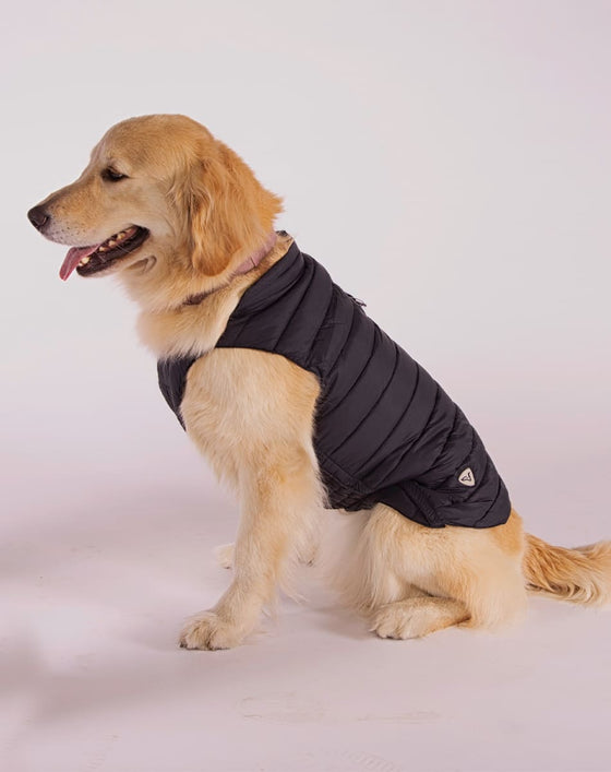 Alysh USA | DOGGY Dog Vest