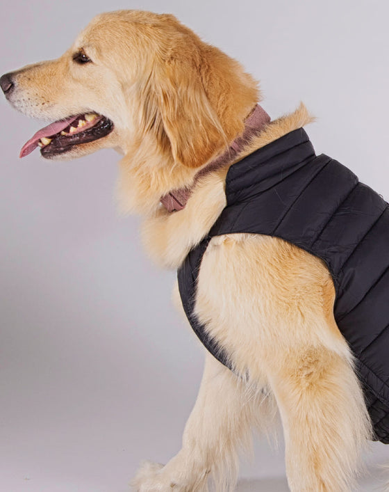 Alysh USA | DOGGY Dog Vest