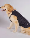 Alysh USA | DOGGY Dog Vest