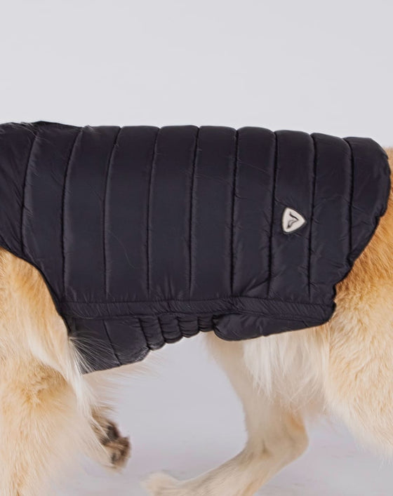 Alysh USA | DOGGY Dog Vest