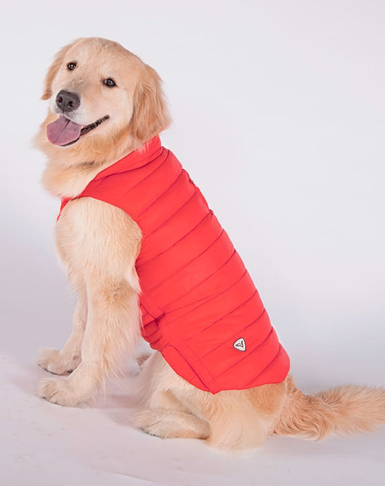 Alysh USA | DOGGY Dog Vest