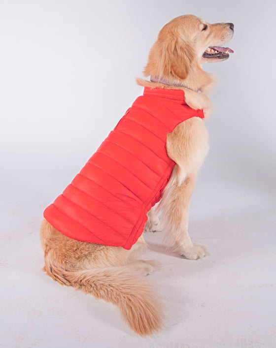 Alysh USA | DOGGY Dog Vest