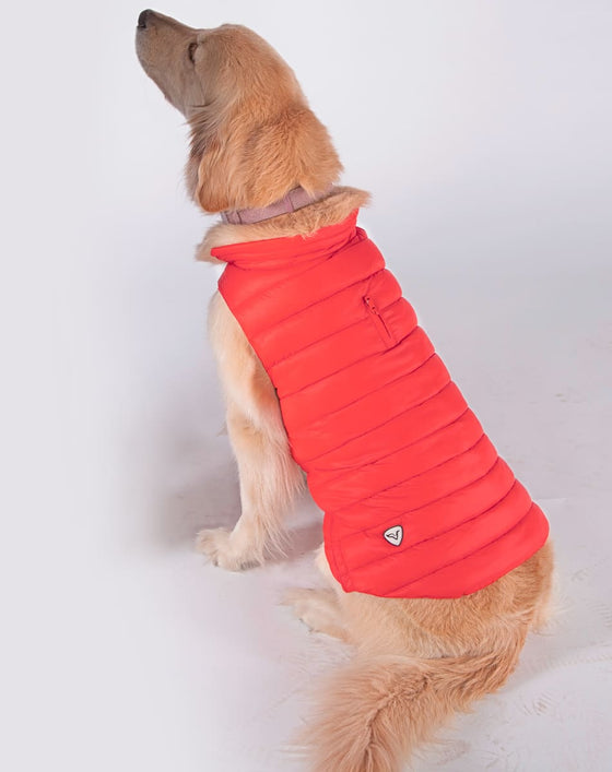 Alysh USA | DOGGY Dog Vest