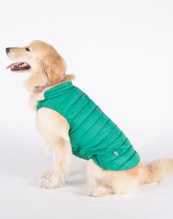 Alysh USA | DOGGY Dog Vest