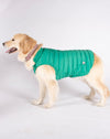 Alysh USA | DOGGY Dog Vest