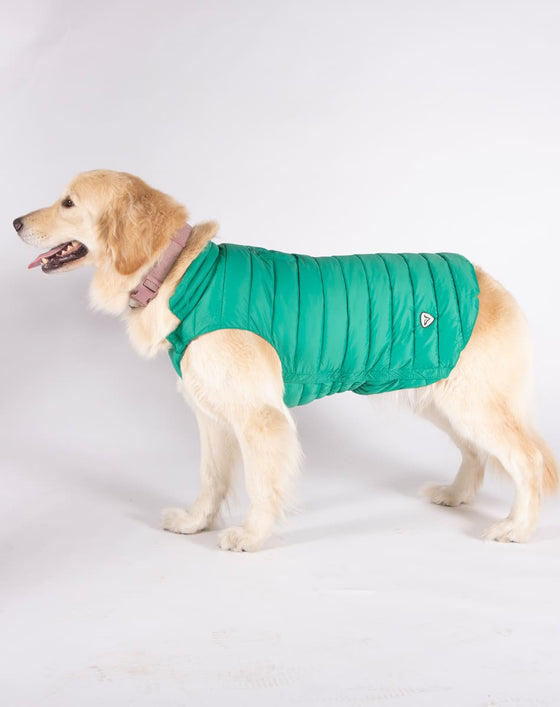 Alysh USA | DOGGY Dog Vest