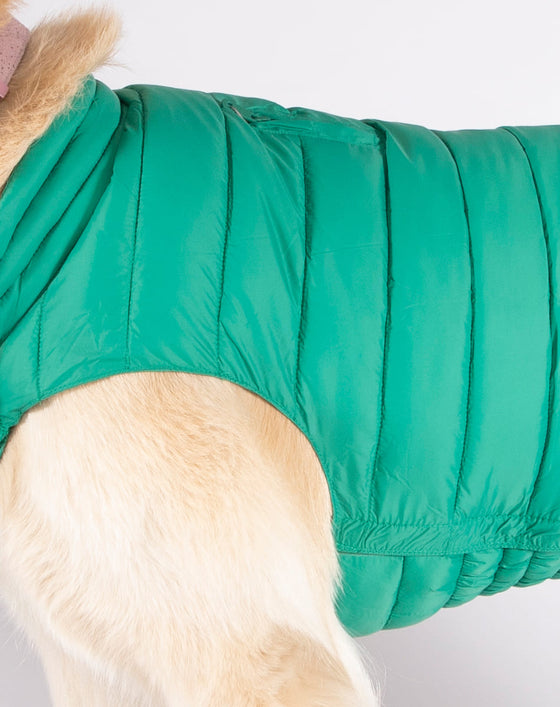 Alysh USA | DOGGY Dog Vest